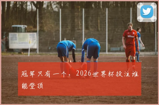 冠军只有一个，2026世界杯投注谁能登顶