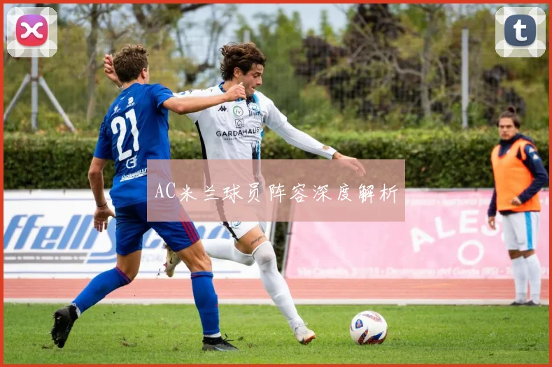 AC米兰球员阵容深度解析